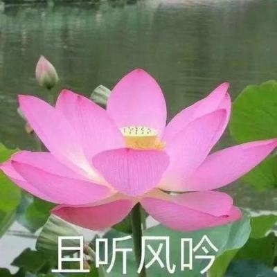 新华社快讯：习近平复信斯梅戴雷沃钢厂职工
